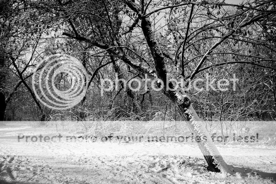 _MG_3057_zps75a01531.jpg