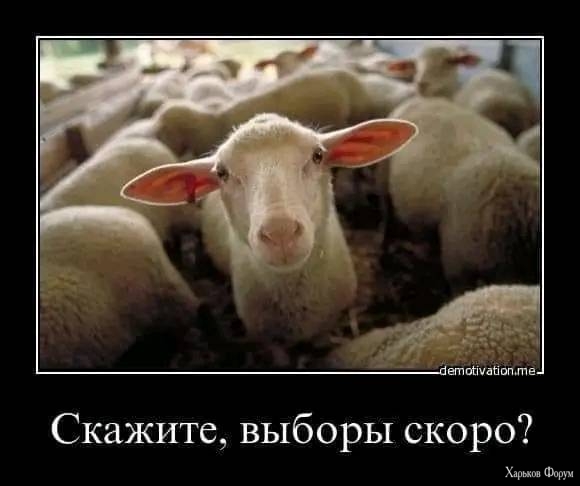 _nc_ohc=6CaPz9jF-FIAX9Jtb3f&_nc_ht=scontent-iev1-1.jpg