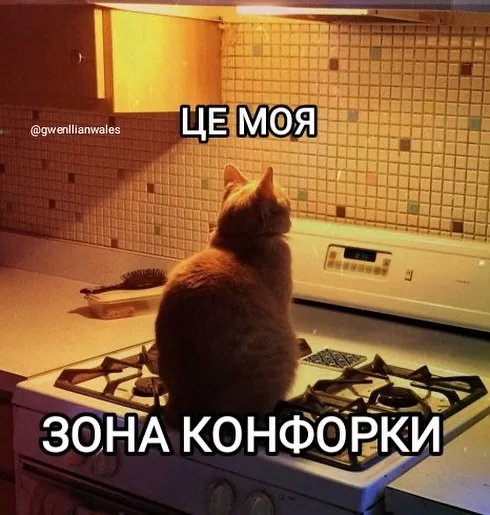 _nc_ohc=eoLC4B57-m8AX_Q3sV2&_nc_ht=scontent-dus1-1.jpg