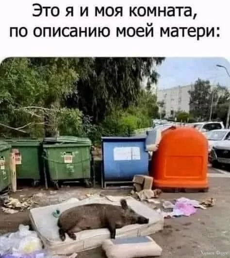 _nc_ohc=NYa7f14Z2RUAX_rQxth&_nc_ht=scontent-waw2-1.webp