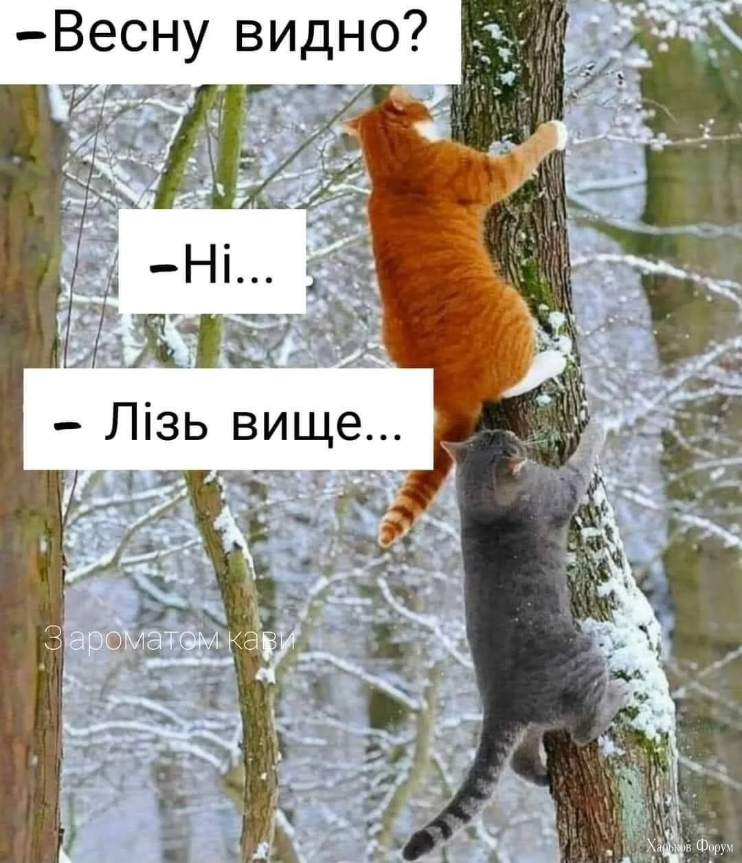 _nc_ohc=RIoa6ktZiDwAX8BbECK&_nc_ht=scontent-nrt1-2.webp