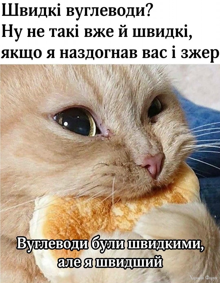 _nc_ohc=t_jI1MnhJTIAX-Vykfh&_nc_ht=scontent-lhr6-2.jpg