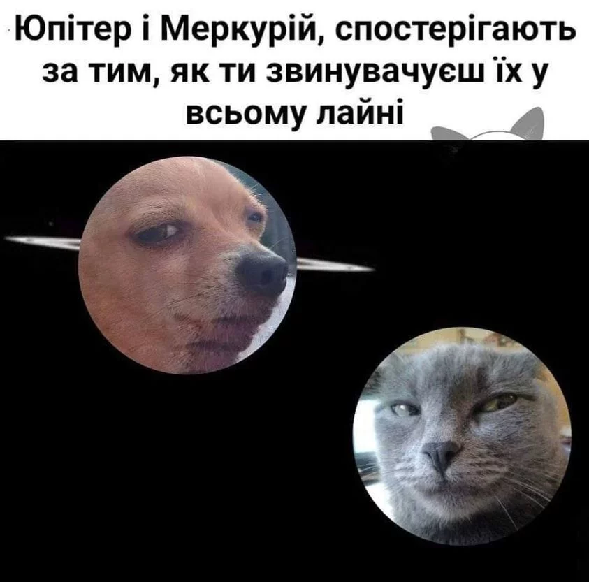 _nc_ohc=wVv9V4LQhUwAX8vlVE9&_nc_ht=scontent-fra5-2.webp