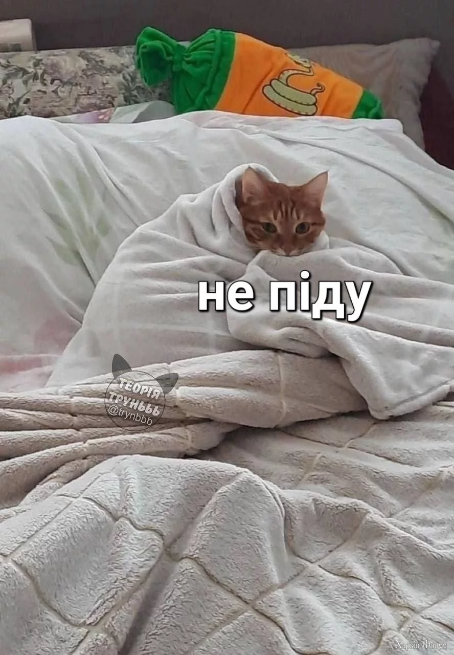 _не піду.webp