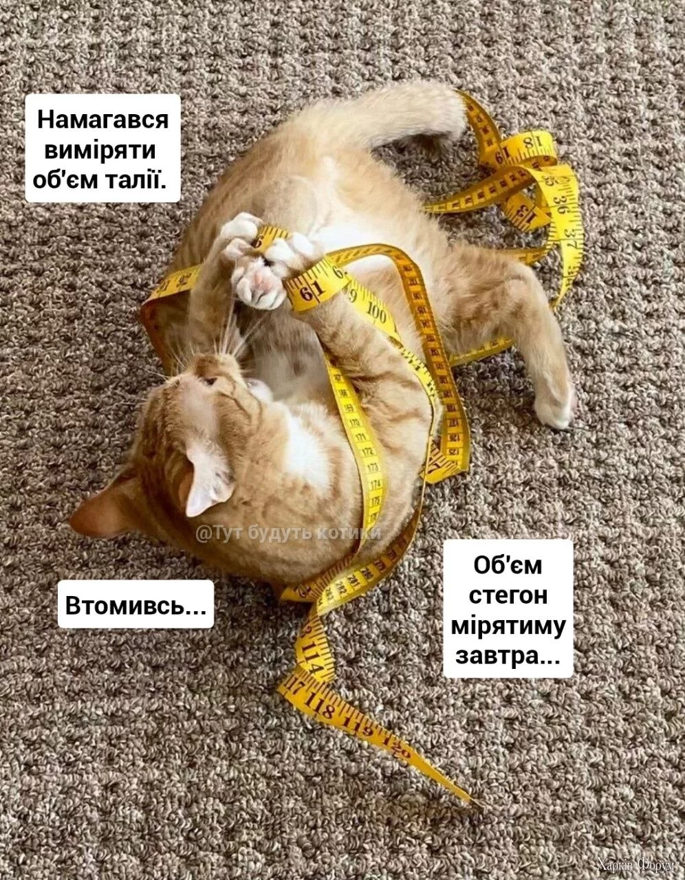 _об'єм талії.webp