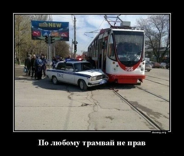 _pCtsD7d7ns.webp