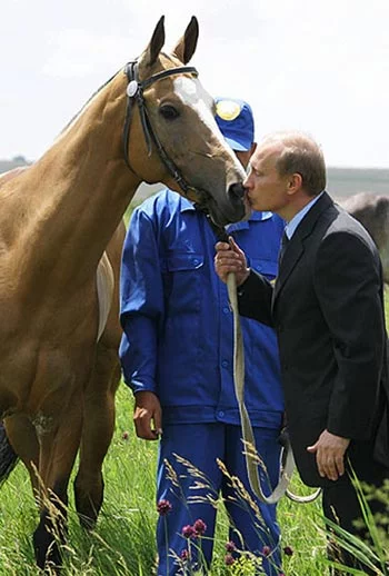 _Putin-celuet-loshad.jpg