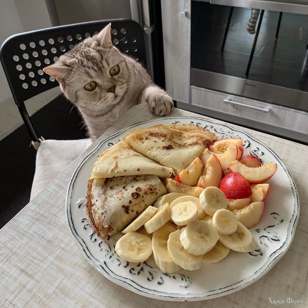 _питаннячко.webp