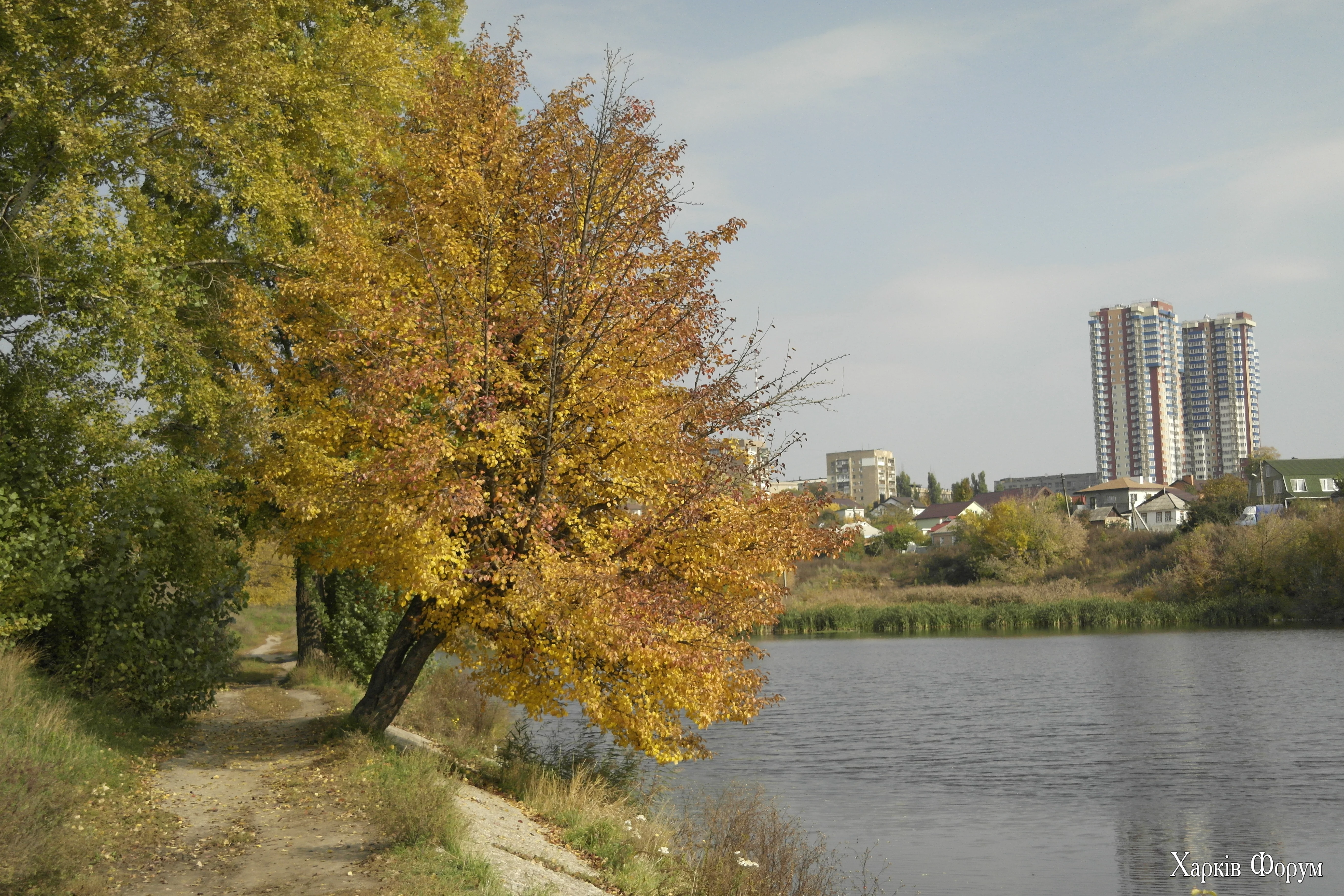 _SAM8364.webp