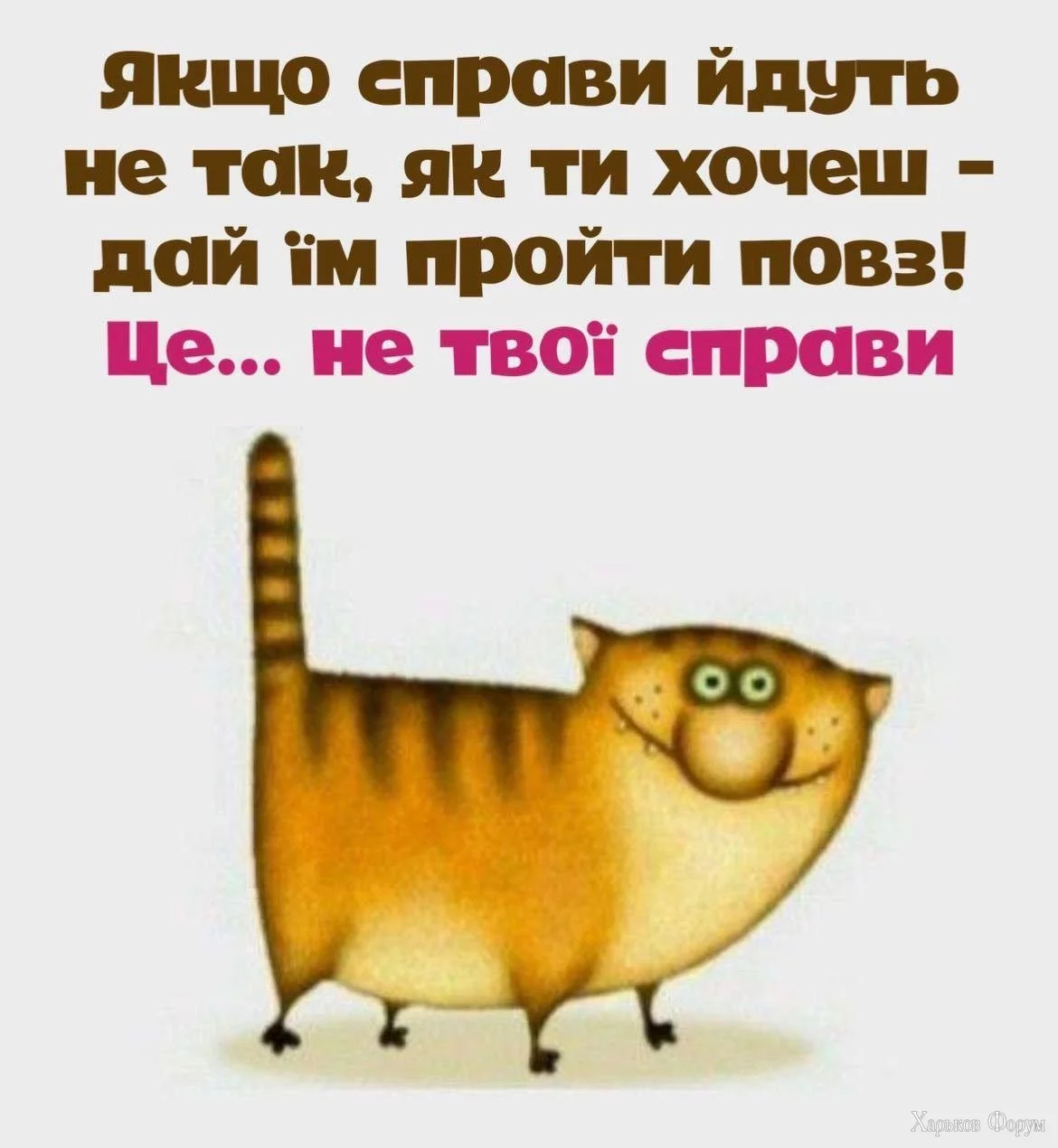 _viber_2023-11-16_16-53-34-956.webp