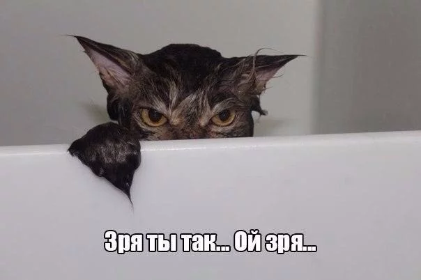_vju1Fl-jk0.webp