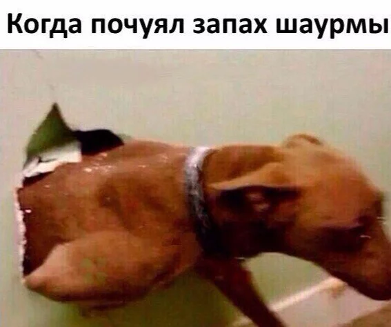 _Y-U0Wrwz1o.webp