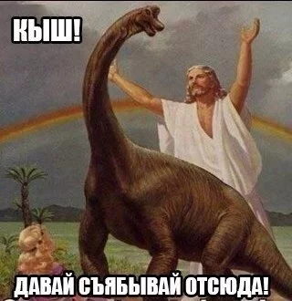 _yY5bjqVA6U.webp