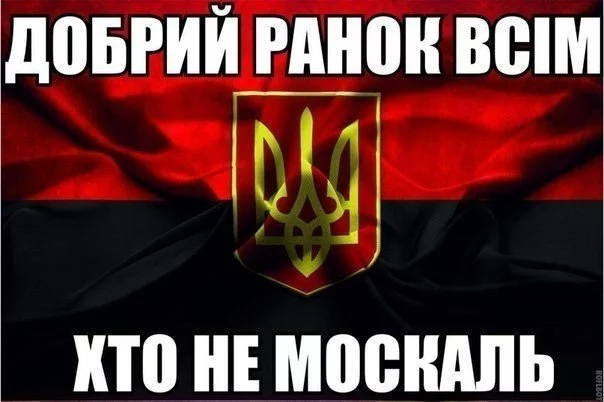 _ZfVEB7ck78.webp