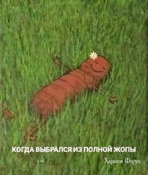 a00c0f8efa051186a.webp