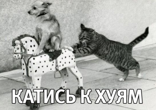 a0235d9c1138eca305899f99daeaaecd.jpg