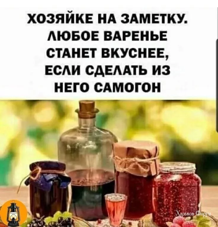 a03a4b71c621f458a68b.webp