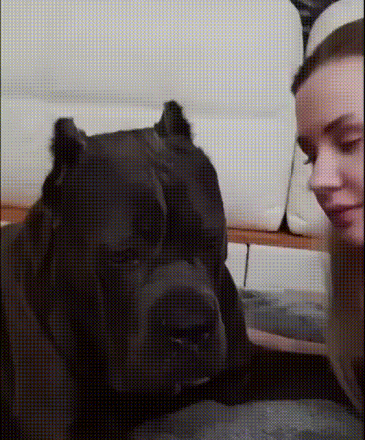 a04bb10e11e43d06a.gif
