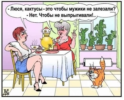 a05095bb39f7efa5.webp