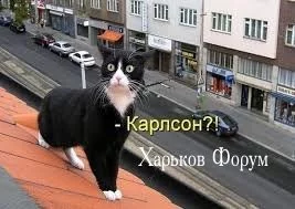 a057e17d023d1cdcfee.webp