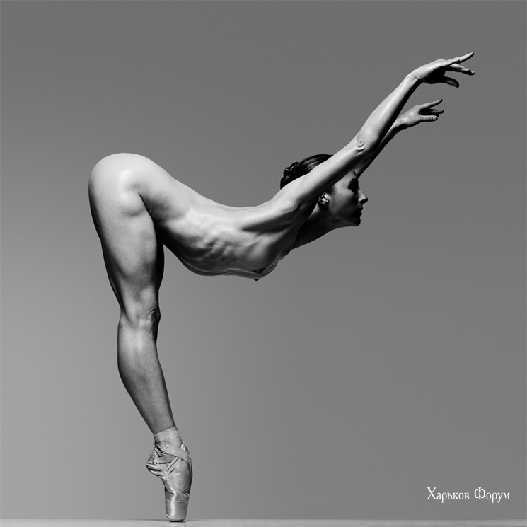 a0592c2df2e9f326.png