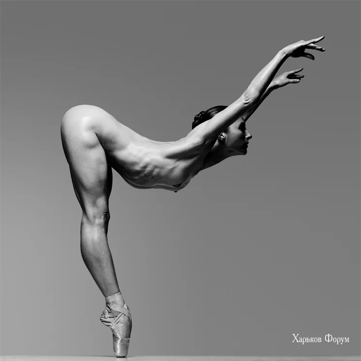 a0592c2df2e9f326.webp