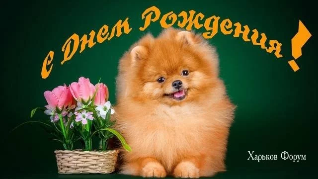 a062360569b464752041c3.webp