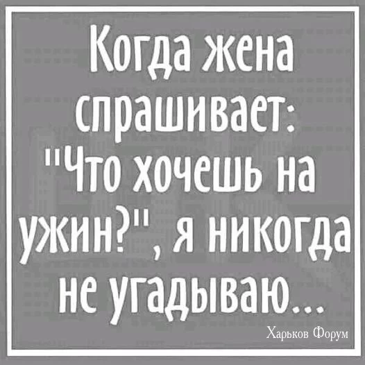 a06850876eb4a4d1e87f4.webp