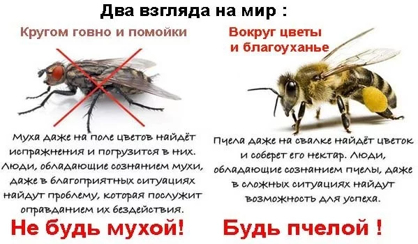 a075e5dfc091b8c0.webp