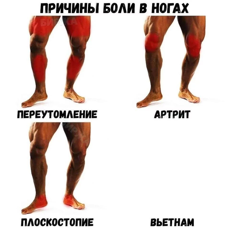 a0784b9a145327444.webp
