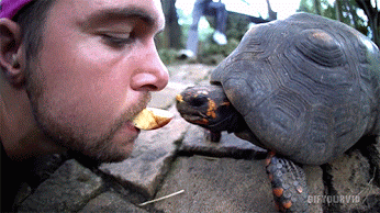 a09ca851e84e9061dd366d.gif