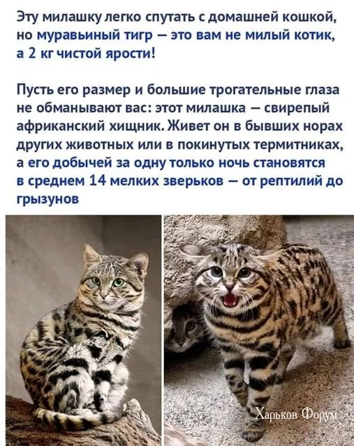 a0b5270f2845d440e34b98.webp