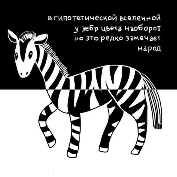 a0c6029b710a43bb7c461a8.webp