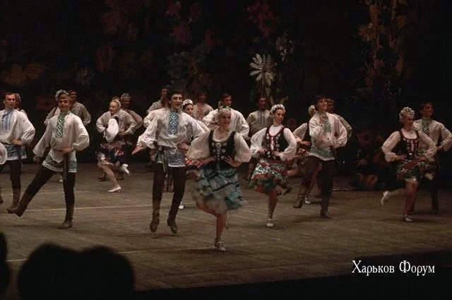 a0e022eff3906410.webp
