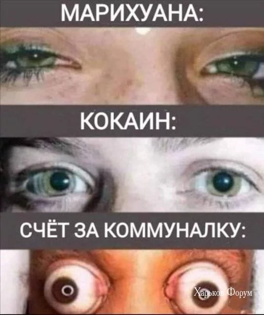 a0f7470c386f53f2.webp