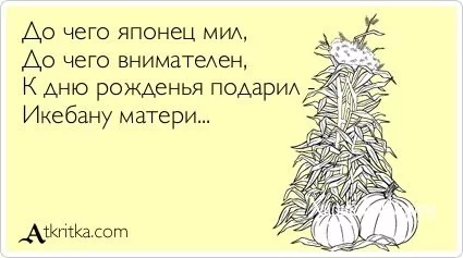 a10059cdd0a3f343.webp