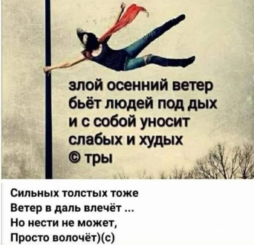 a10d905563439b6c40f4a.webp