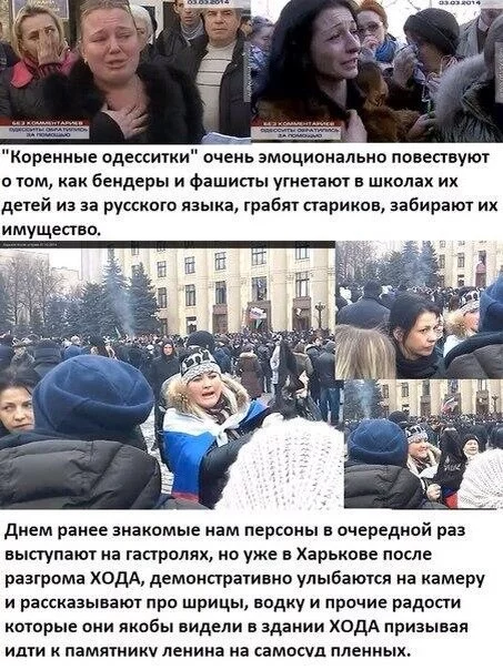 a10WBPf0NwM.webp