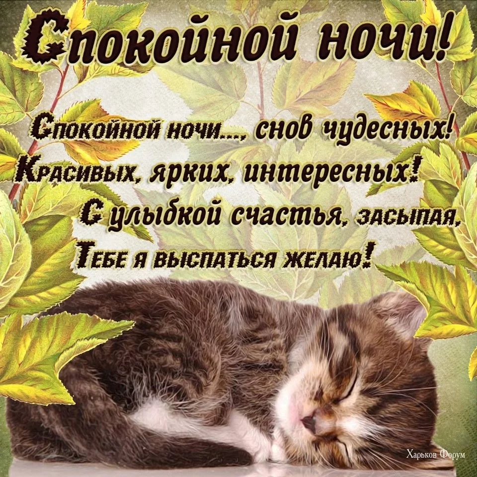 a11874ba6508ed9abfbf.webp