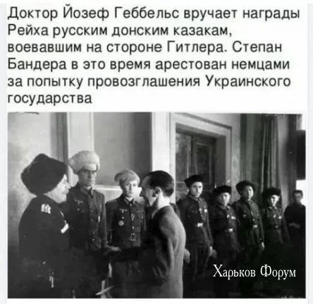 a1254059844a73860127f1.webp