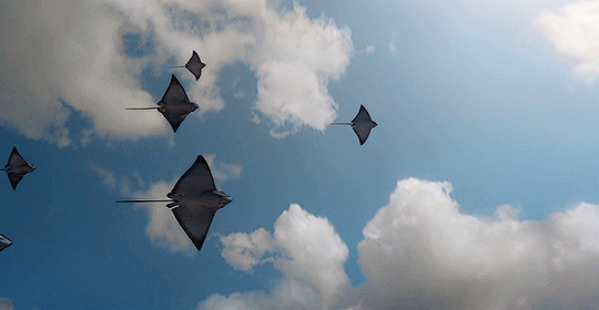 a129b144c7a44da7463575c3320c2274633e0c7f.gif