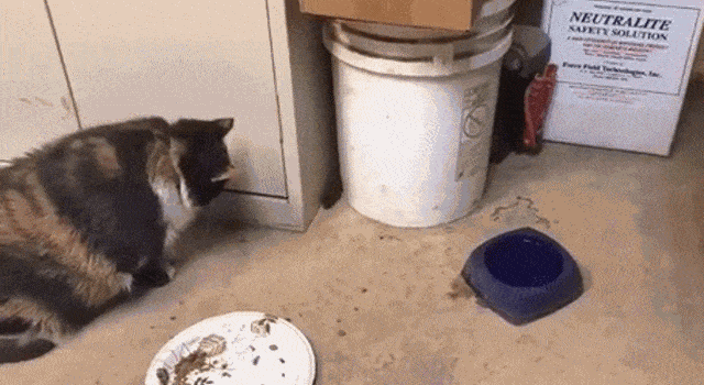 a134826050e2e1710cdd75e1.gif