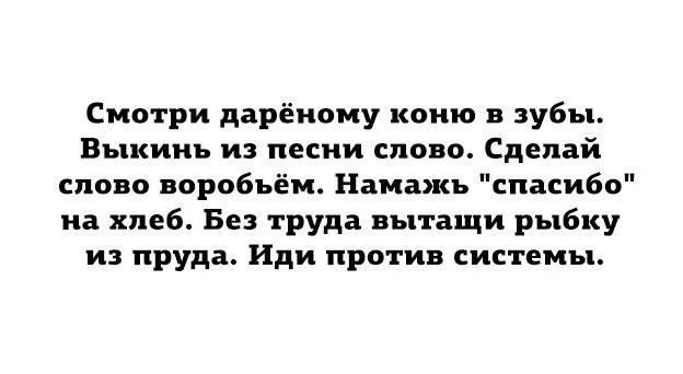 a13d3e949a8d9a6eea8315.jpg