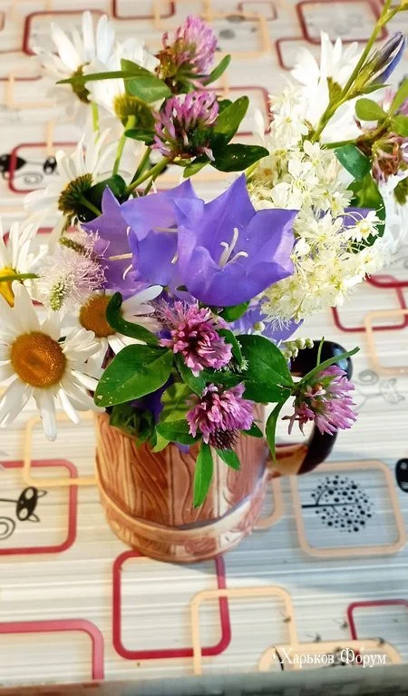 a143c174d5caca1f8892e77.webp