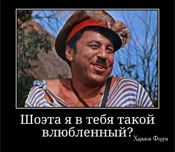 a15348a3dcc1d6bdd4ab.png