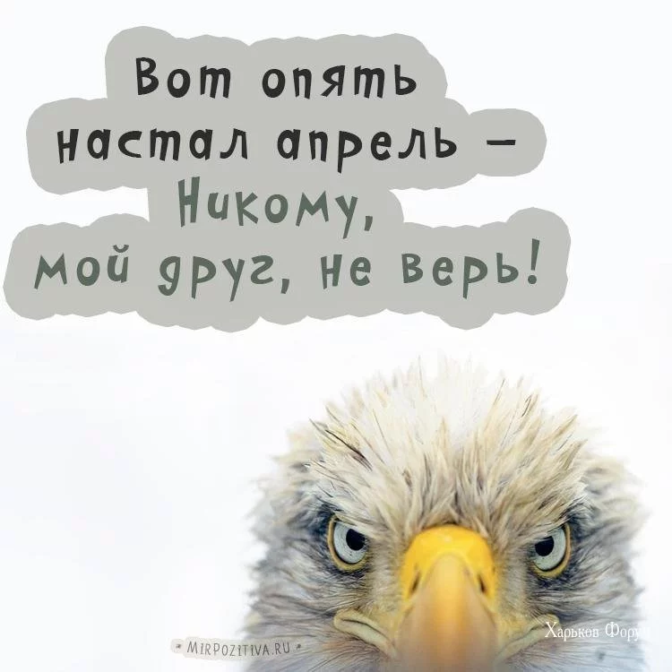 a15d82d1be7c658f68dd5af.webp