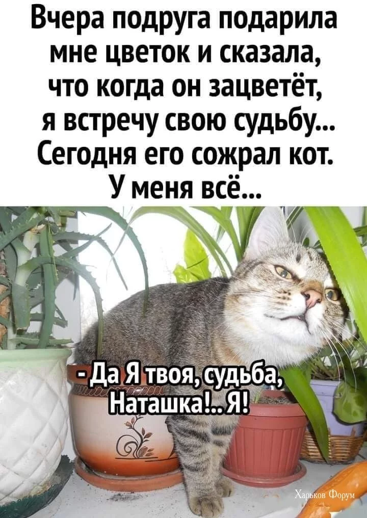 a186a0c4982b34eb04b5.webp