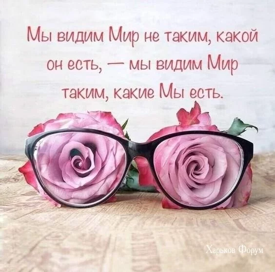 a19126b08a73c33e816a5e06.webp