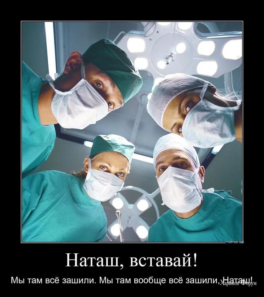 a19f1c60c4ffbbe51.webp