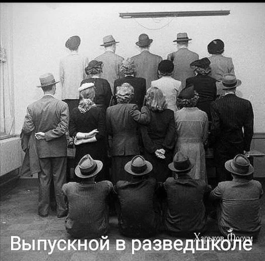 a1a5338c08ba287e77b3e2eb.webp